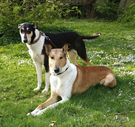 F. Litter 2010 :-))))